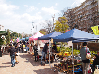 20120325_01.jpg